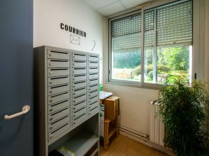 Domiciliation d’entreprise – Lincubacteur